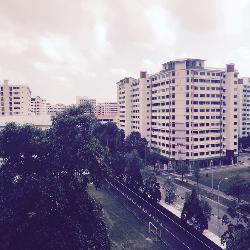 Blk 467 Pasir Ris Drive 6 (Pasir Ris), HDB 4 Rooms #45877782
